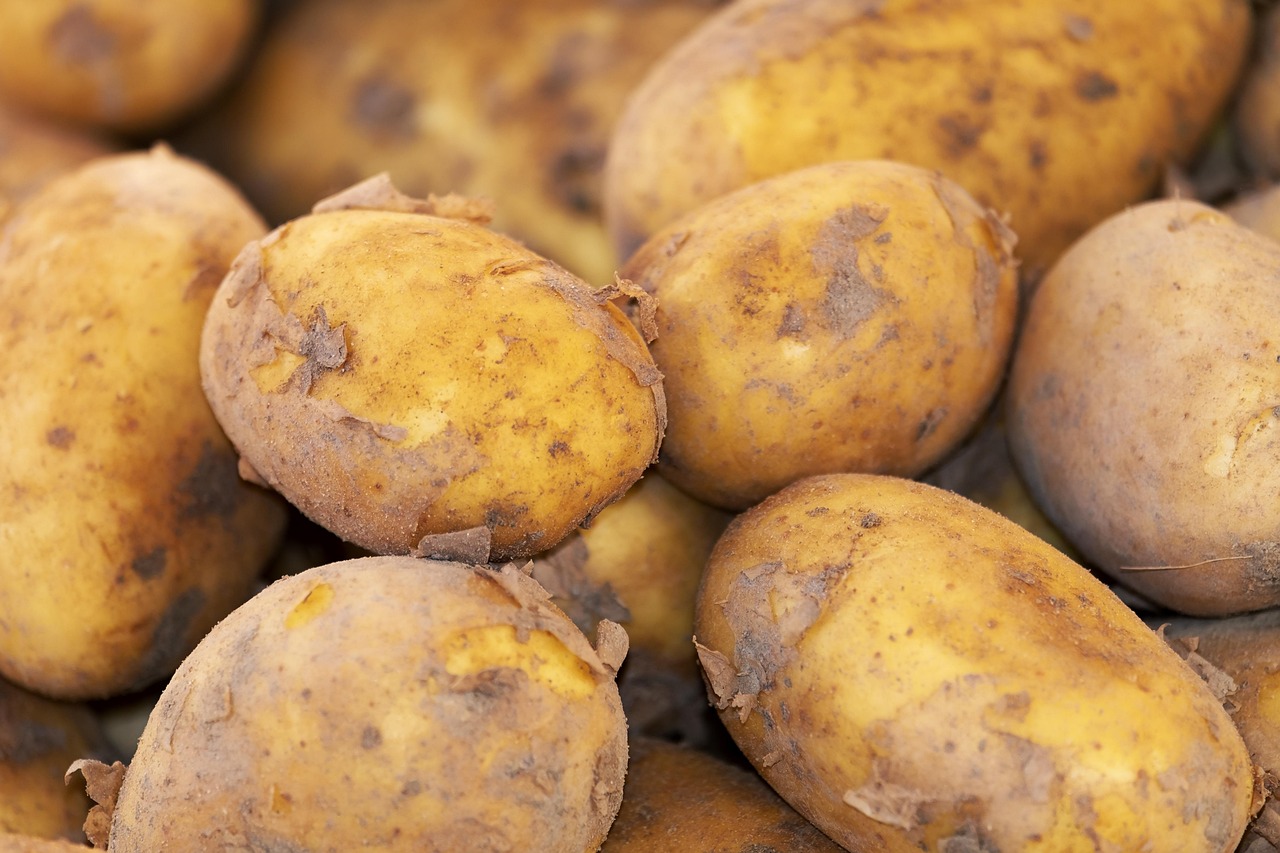 Potato, new harvest, nature — How Data Analytics Works in 51 Game App
